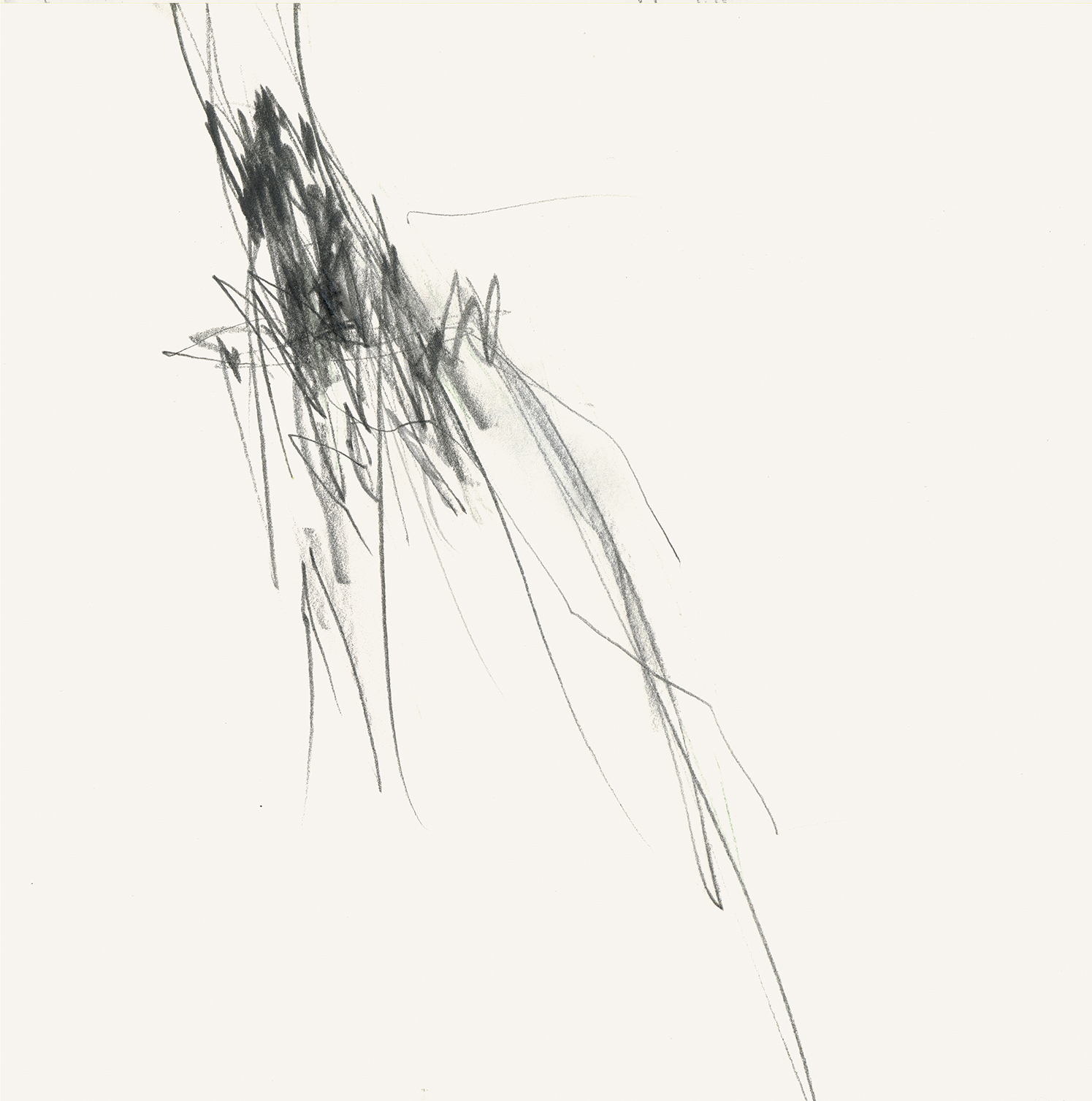 FJust_25x25_2021-11