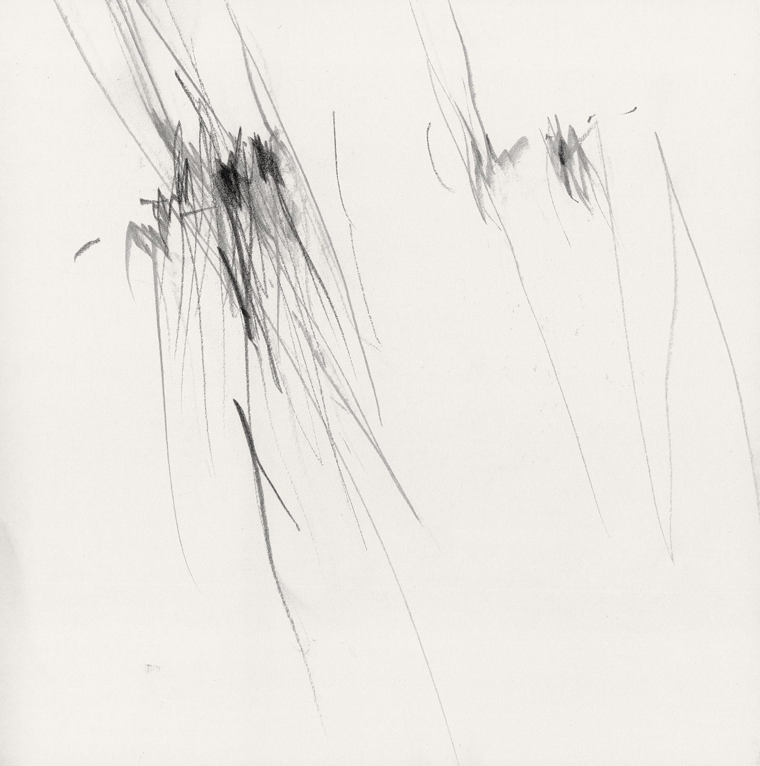 FJust_25x25_2021-12