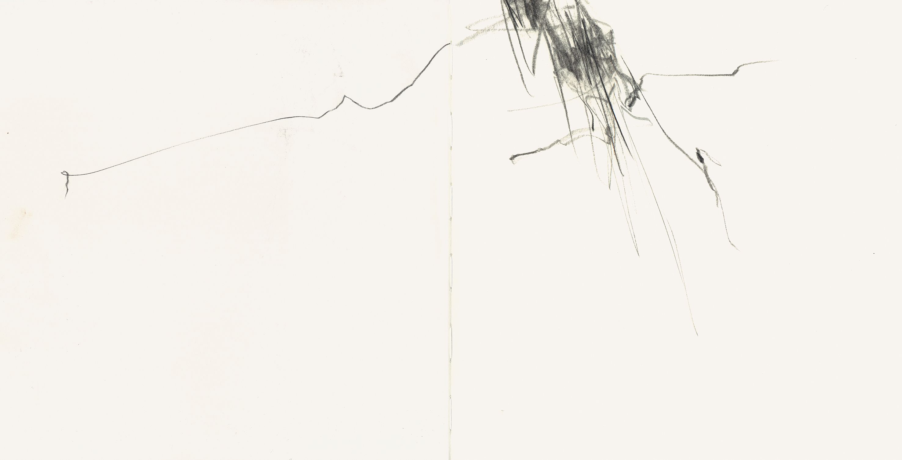 FJust_45x25_2021-02